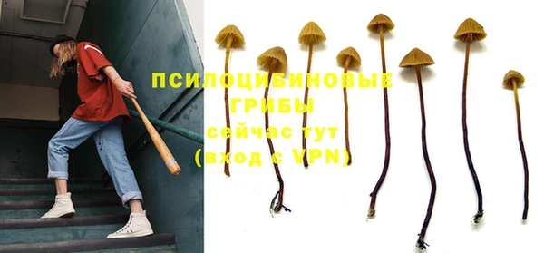 героин Краснослободск